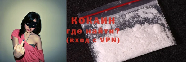 кокс Алексин
