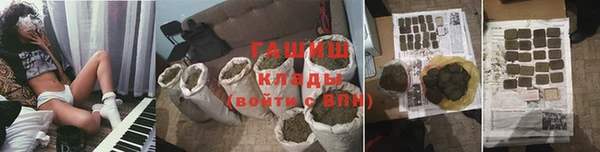 шишки Алзамай