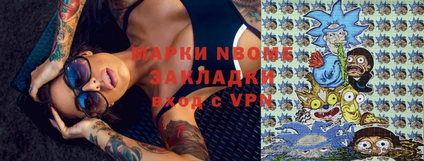 шишки Алзамай