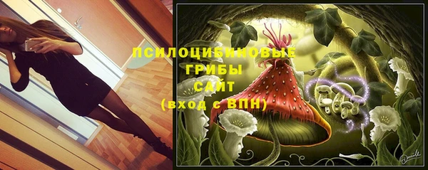 шишки Алзамай