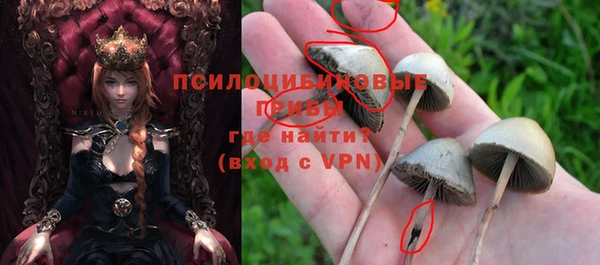 шишки Алзамай