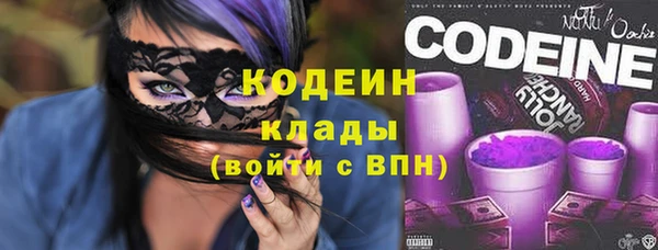 кокс Алексин